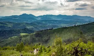Wielka racza szlaki wiodą przez zielone, pofałdowane góry pod zachmurzonym niebem.