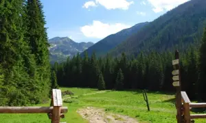 Piękna, zielona polana w Tatrach, Dolina Kościeliska. Ścieżka prowadzi przez las ku górskim szczytom.