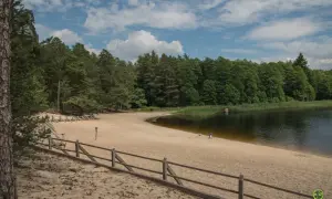 Piaszczysta plaża nad jeziorem w Roztoczańskim Parku Narodowym, otoczona lasem. Kilka osób odpoczywa na piasku.