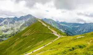 Szlak przez zielone, trawiaste zbocza górskie, idealne miejsce w polskie góry gdzie jechać na wędrówkę.