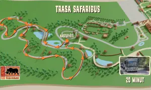 Mapa trasy safari bus w czeskim zoo. Pomarańczowe strzałki pokazują drogę przez park, z zaznaczonym punktem wejścia.