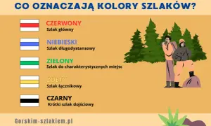 Poznaj rodzaje szlaków turystycznych: czerwony (główny), niebieski (długodystansowy), zielony (do miejsc), żółty (łącznikowy) i czarny (krótki).