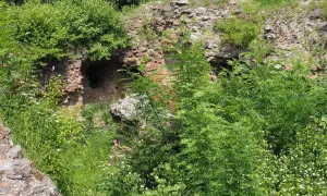 Ruiny na Górze Świętego Marcina, porośnięte bujną zielenią. Ceglane mury z otworami, jakby zapraszające do odkrycia tajemnic.