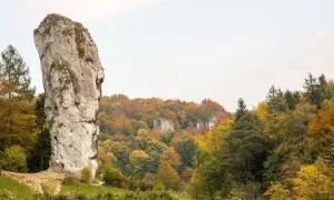 Maczuga Herkulesa na Jurze Krakowsko-Częstochowskiej, majestatyczna skała w otoczeniu jesiennych lasów.