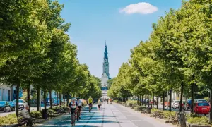 Aleja drzew prowadzi do Jasnej Góry. Ludzie jeżdżą na rowerach, spacerują. Widać co na mieście Częstochowa.