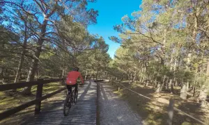 Rowerzystka przemierza drewniany pomost w lesie sosnowym. Piękne słowiński park narodowy trasy rowerowe zachęcają do aktywnego wypoczynku.