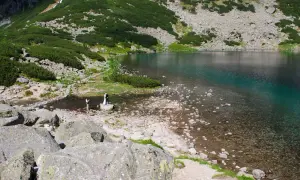 Czarny Staw pod Rysami, para młoda na kamieniu, szlak turystyczny w tle.