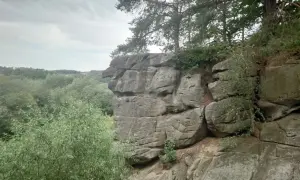 Skalne miasto w Ciężkowicach, z formacją skalną przypominającą głowę orła, otoczone bujną zielenią i drzewami.