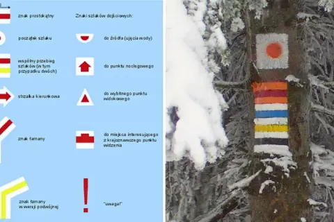 Kolorowe oznaczenia szlaków górskich na drzewie w zimowej scenerii. Obok schemat znaków szlaków.