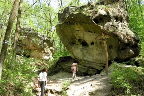 Spacerowicze na trasie przez Ciężkowice – Skamieniałe Miasto. Monumentalne skały tworzą niezwykły krajobraz.