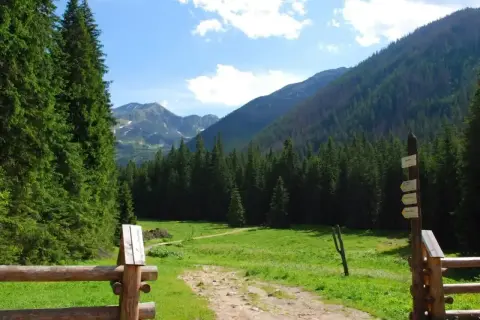 Piękna, zielona polana w Tatrach, Dolina Kościeliska. Ścieżka prowadzi przez las ku górskim szczytom.