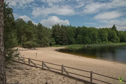 Piaszczysta plaża nad jeziorem w Roztoczańskim Parku Narodowym, otoczona lasem. Kilka osób odpoczywa na piasku.
