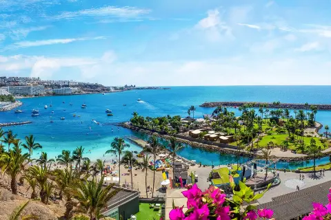 Gran Canaria ciekawostki: malownicza zatoka z plażą, palmami, łodziami i kurortem. Idealne miejsce na wakacje.