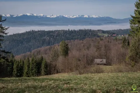 Widok na góry z mgłą w dolinie. W oddali ośnieżone szczyty. Na pierwszym planie las i drewniana wiata, która może być początkiem najkrótszego szlaku na Turbacz.
