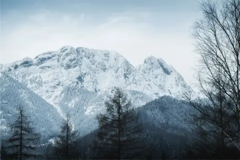 Śnieżne szczyty gór zimą, idealne na pierwsze górskie wędrówki dla początkujących. Drzewa w oddali i na pierwszym planie.