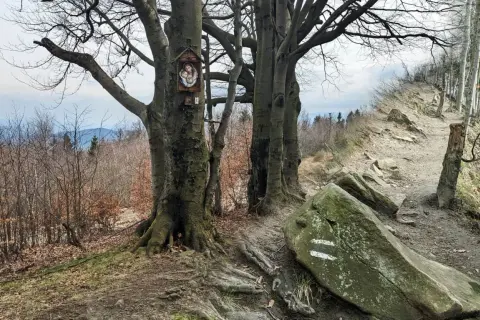 Kapliczka na drzewie wita wędrowców na najładniejszym szlaku na Leskowiec. Kamienie i korzenie tworzą malowniczą ścieżkę.