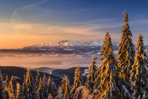 Zimowy widok z Koninek na ośnieżony Turbacz i Tatry w złotym świetle zachodzącego słońca.