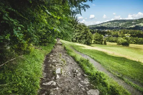 Kamienista ścieżka pod reglami, otoczona zielenią, prowadzi przez malowniczy krajobraz. W oddali widać góry i zabudowania.
