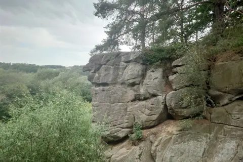 Skalne miasto w Ciężkowicach, z formacją skalną przypominającą głowę orła, otoczone bujną zielenią i drzewami.