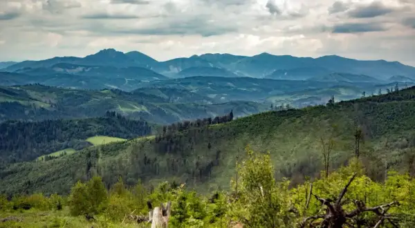 Wielka racza szlaki wiodą przez zielone, pofałdowane góry pod zachmurzonym niebem.