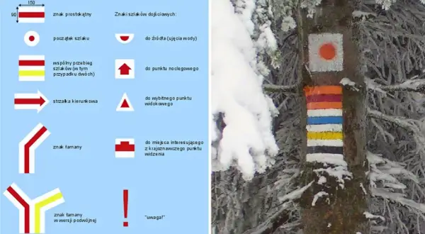 Kolorowe oznaczenia szlaków górskich na drzewie w zimowej scenerii. Obok schemat znaków szlaków.