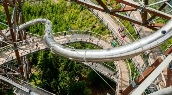 Drewniana ścieżka i metalowa zjeżdżalnia na Sky Walk Dolni Morava wśród zielonych drzew.
