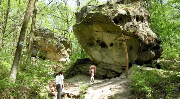 Spacerowicze na trasie przez Ciężkowice – Skamieniałe Miasto. Monumentalne skały tworzą niezwykły krajobraz.