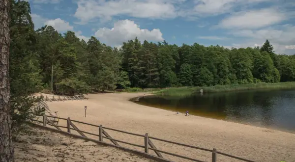 Piaszczysta plaża nad jeziorem w Roztoczańskim Parku Narodowym, otoczona lasem. Kilka osób odpoczywa na piasku.