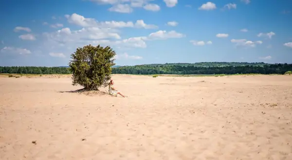 Pustynia Błędowska atrakcje: kobieta odpoczywa w cieniu samotnego drzewa na piaszczystej równinie, pod błękitnym niebem z chmurami.