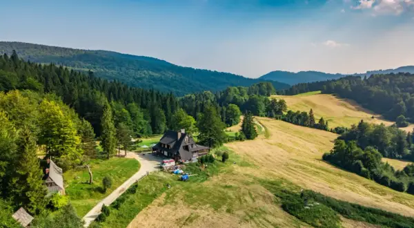 Malownicza bacówka nad Wierchomlą, gdzie trasa turystyczna prowadzi przez zielone wzgórza i lasy.