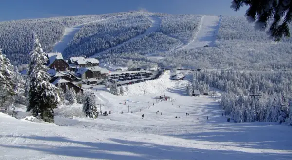Ośnieżone stoki i lasy wokół ośrodka cervenohorske sedlo ski. Narciarze szusują po łagodnych zboczach, a w tle widać parking i zabudowania.