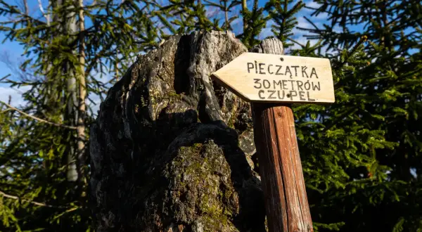Drewniany drogowskaz "Pieczątka 30 metrów czupel" wskazuje drogę przez las.