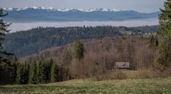 Widok na góry z mgłą w dolinie. W oddali ośnieżone szczyty. Na pierwszym planie las i drewniana wiata, która może być początkiem najkrótszego szlaku na Turbacz.