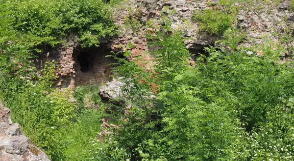 Ruiny na Górze Świętego Marcina, porośnięte bujną zielenią. Ceglane mury z otworami, jakby zapraszające do odkrycia tajemnic.