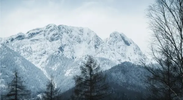 Śnieżne szczyty gór zimą, idealne na pierwsze górskie wędrówki dla początkujących. Drzewa w oddali i na pierwszym planie.