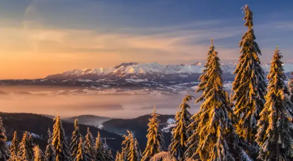 Zimowy widok z Koninek na ośnieżony Turbacz i Tatry w złotym świetle zachodzącego słońca.