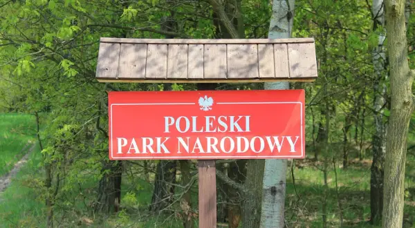 Czerwony znak z napisem "POLESKI PARK NARODOWY" i orłem. W tle zielony las. Poznaj poleski park narodowy ciekawostki!