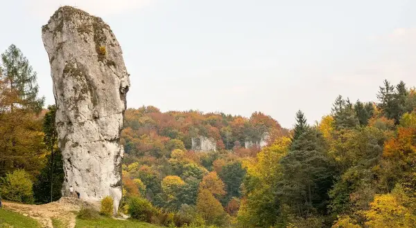 Maczuga Herkulesa na Jurze Krakowsko-Częstochowskiej, majestatyczna skała w otoczeniu jesiennych lasów.