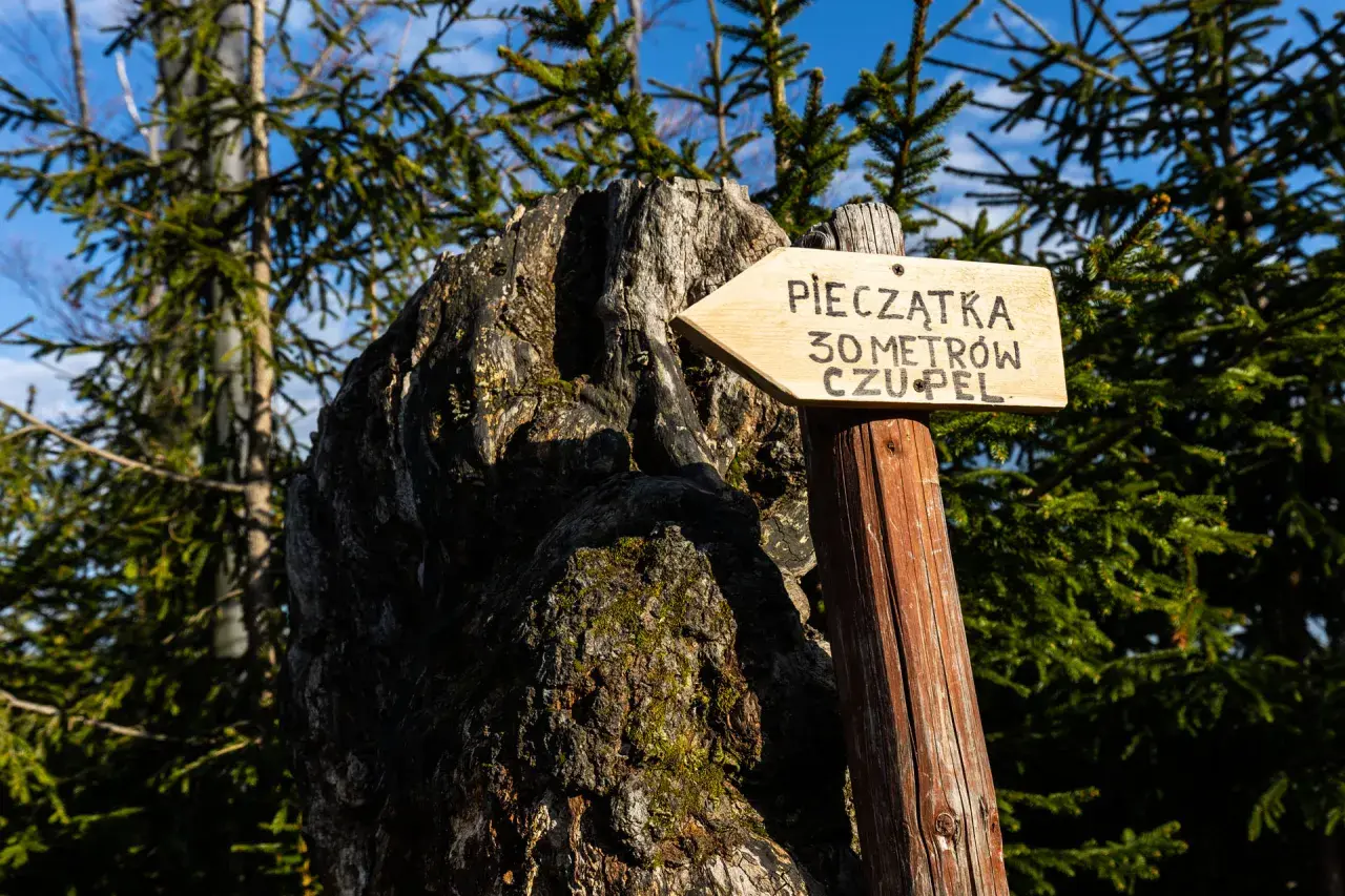 Drewniany drogowskaz "Pieczątka 30 metrów czupel" wskazuje drogę przez las.