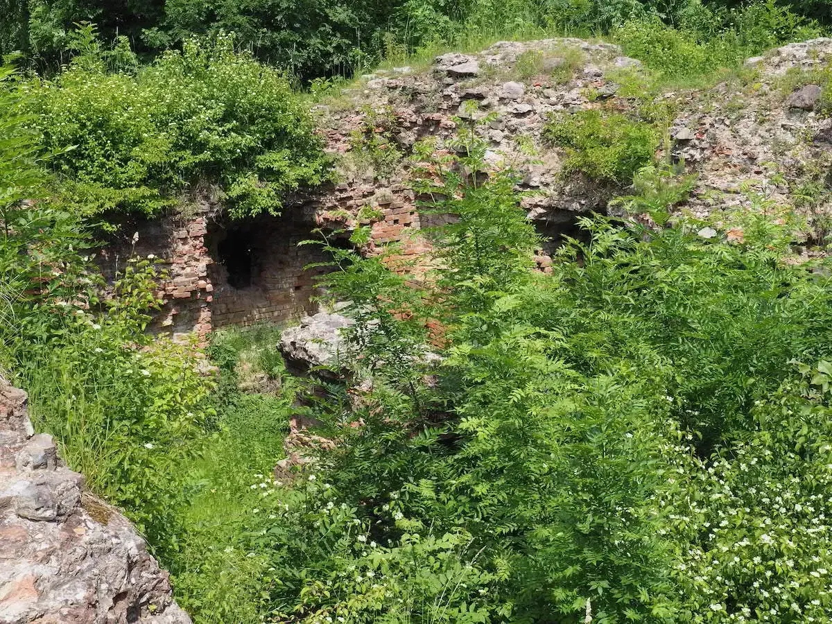 Ruiny na Górze Świętego Marcina, porośnięte bujną zielenią. Ceglane mury z otworami, jakby zapraszające do odkrycia tajemnic.