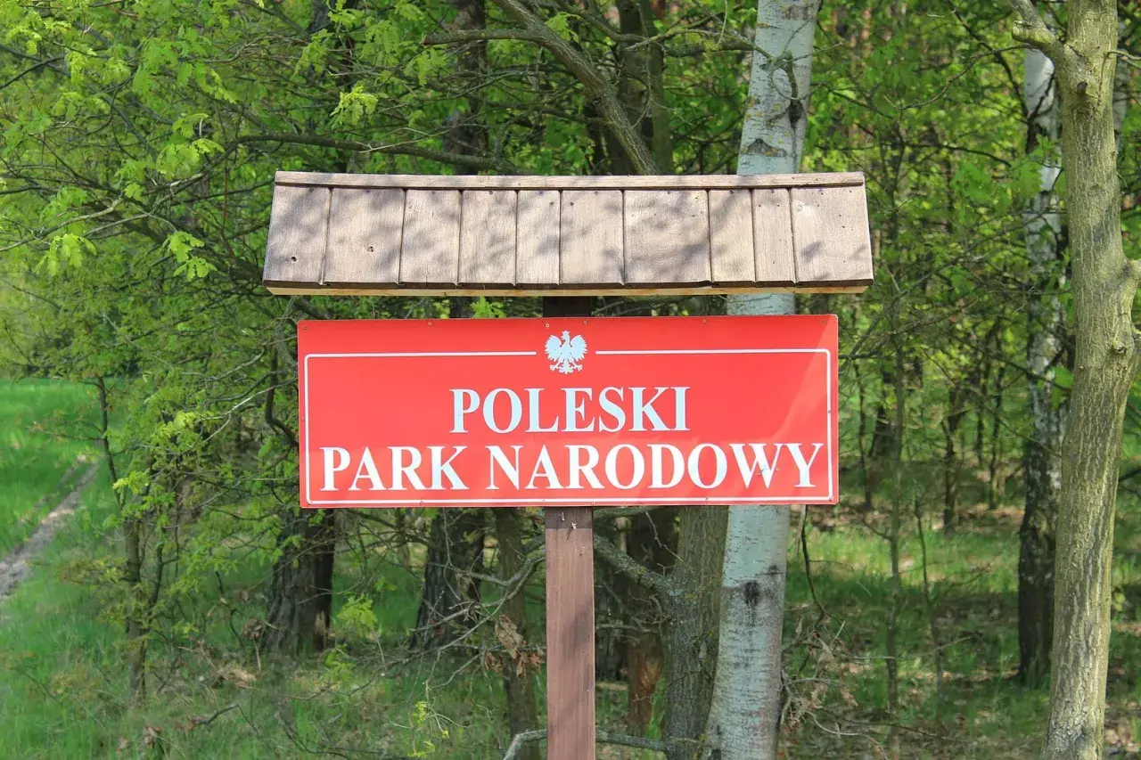 Czerwony znak z napisem "POLESKI PARK NARODOWY" i orłem. W tle zielony las. Poznaj poleski park narodowy ciekawostki!