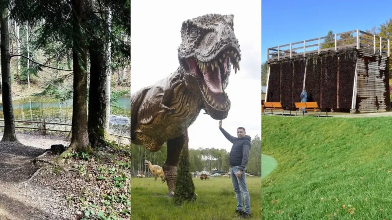 Jasło i okolice atrakcje turystyczne: leśne jezioro, park z dinozaurami i tężnia solankowa.