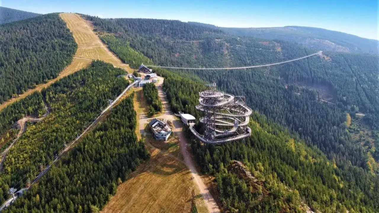 Widok z lotu ptaka na spiralną wieżę widokową i długi sky bridge zawieszony nad lasem.