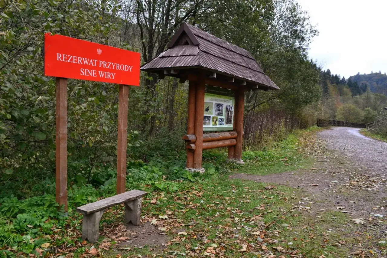 Tablica informacyjna i ławka przy wejściu na szlak w rezerwacie przyrody Sine Wiry.
