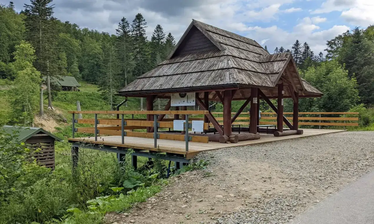 Drewniana wiata i platforma widokowa przy mucznej zagrodzie żubr&oacute;w. W tle las i zabudowania.