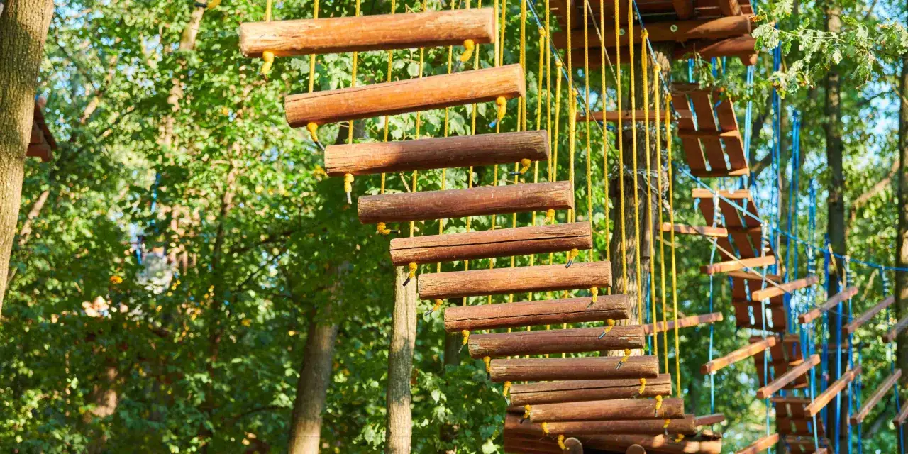 Drewniany park linowy w lesie, idealne miejsce na aktywne atrakcje Szczecin i okolice. Wspinaczka wśród drzew.