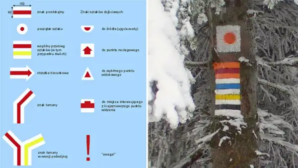 Kolorowe oznaczenia szlaków górskich na drzewie w zimowej scenerii. Obok schemat znaków szlaków.