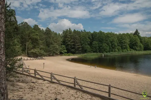 Piaszczysta plaża nad jeziorem w Roztoczańskim Parku Narodowym, otoczona lasem. Kilka osób odpoczywa na piasku.