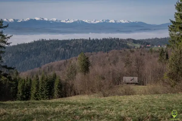 Widok na góry z mgłą w dolinie. W oddali ośnieżone szczyty. Na pierwszym planie las i drewniana wiata, która może być początkiem najkrótszego szlaku na Turbacz.