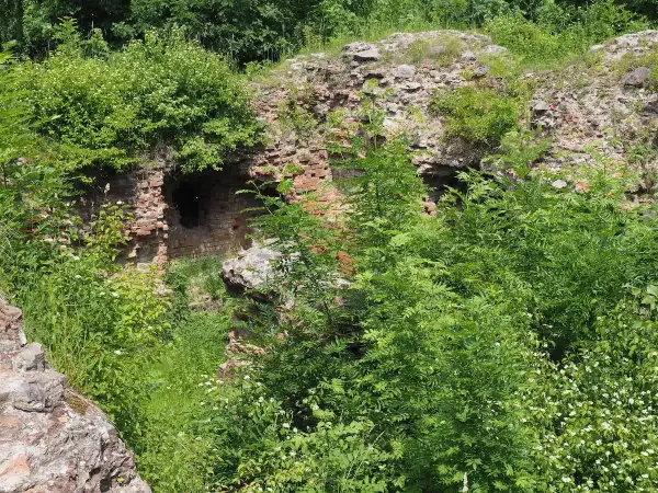 Ruiny na Górze Świętego Marcina, porośnięte bujną zielenią. Ceglane mury z otworami, jakby zapraszające do odkrycia tajemnic.